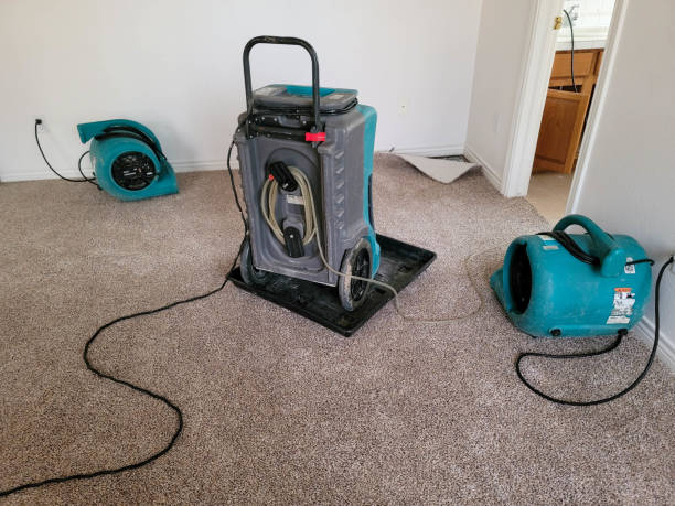 Best Residential water damage restoration  in Marshall, MI