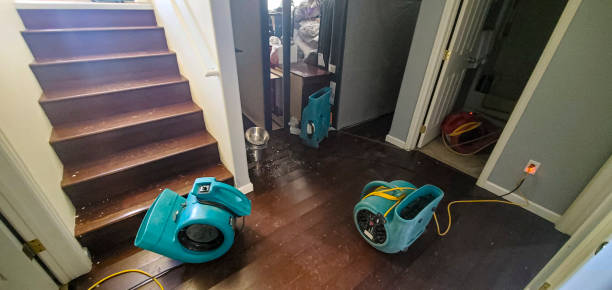 Best Flood restoration services  in Marshall, MI