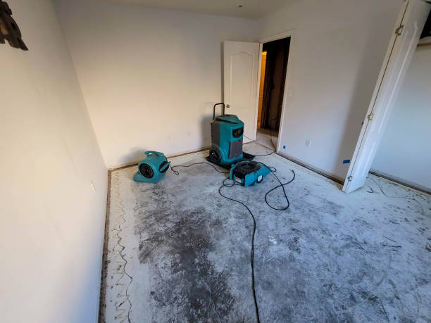 Best Sewage cleanup and water damage restoration  in Marshall, MI