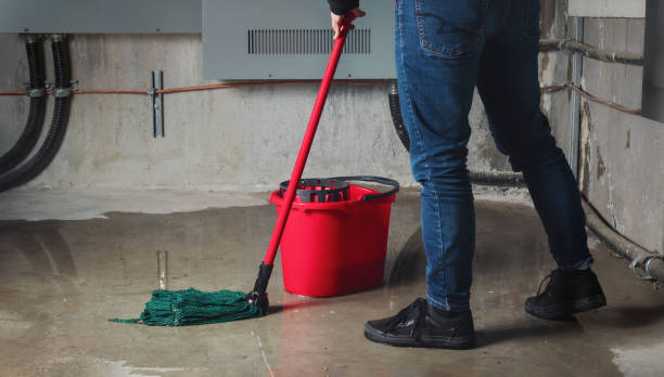 Best Flood restoration services  in Marshall, MI