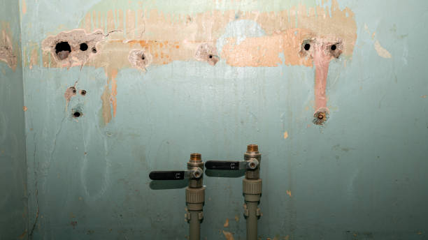Best Flooded house restoration  in Marshall, MI