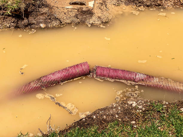 Water damage restoration process in MI