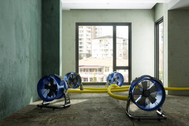Best Water damage restoration near me  in Marshall, MI